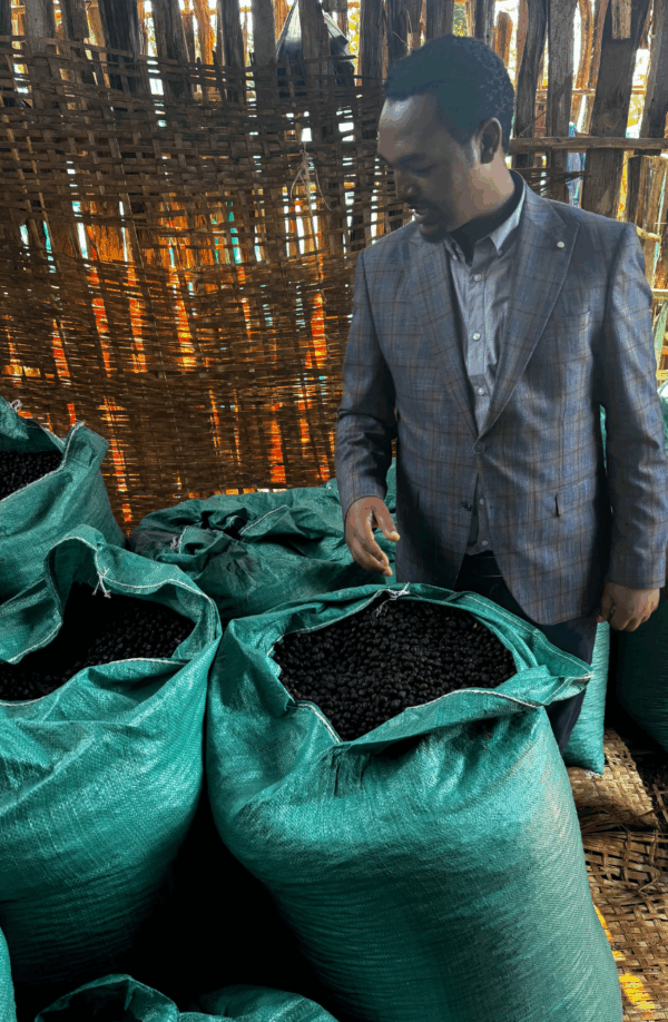 Guji (Ethiopia) - Kurume Natural - Ayele Adola